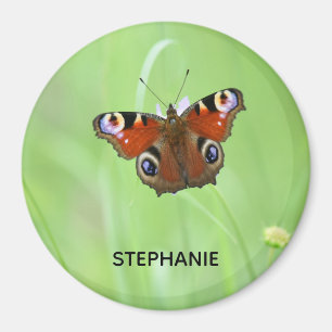 Íman Borboleta de Peacock