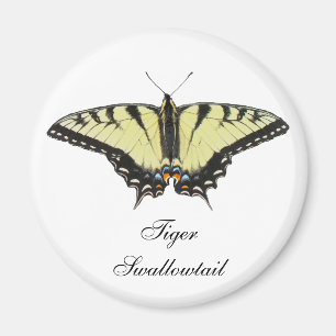 Íman Borboleta do Swallowtail de Tigre