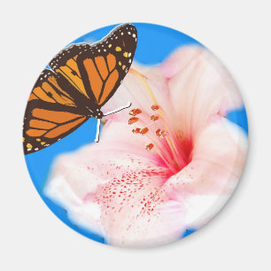 Íman borboleta e flor