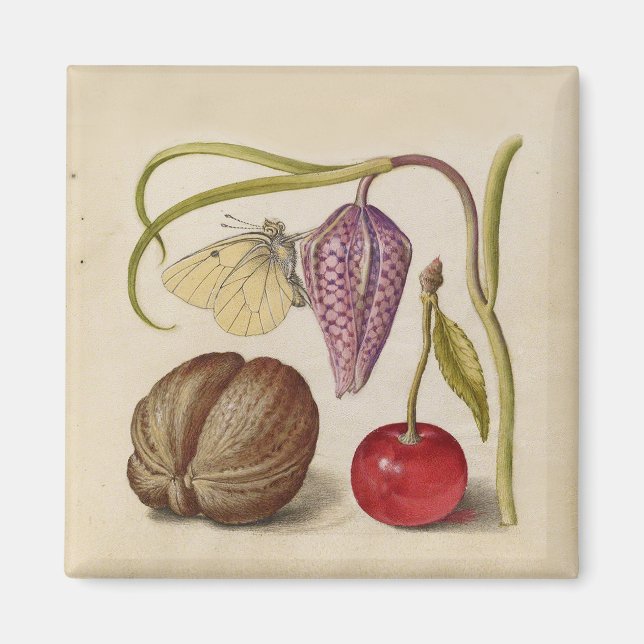 Íman Borboleta Flor de Noz Flor, Cereja, Aquarela (Frente)