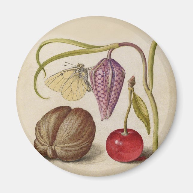 Íman Borboleta Flor de Noz Flor, Cereja, Aquarela (Frente)