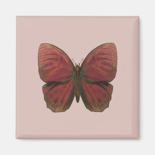 Íman Borboleta Galo Vermelho