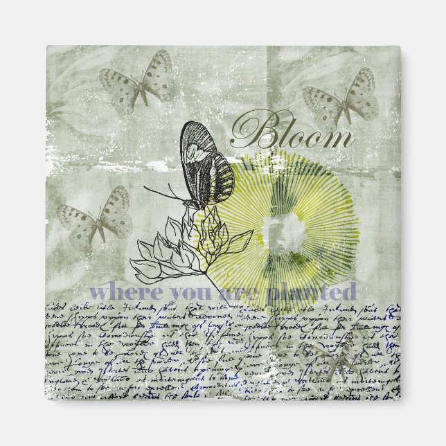 Íman Borboleta Inspirada Bloom (Frente)