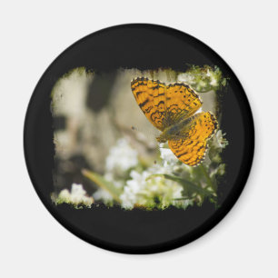 Íman Borboleta Laranja