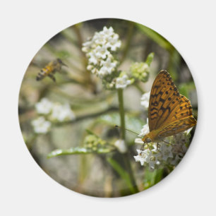 Íman Borboleta Laranja e Abelha