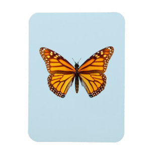 Íman Borboleta Monarca