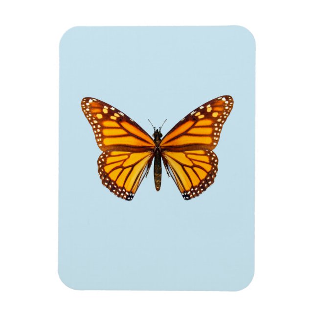 Íman Borboleta Monarca (Vertical)