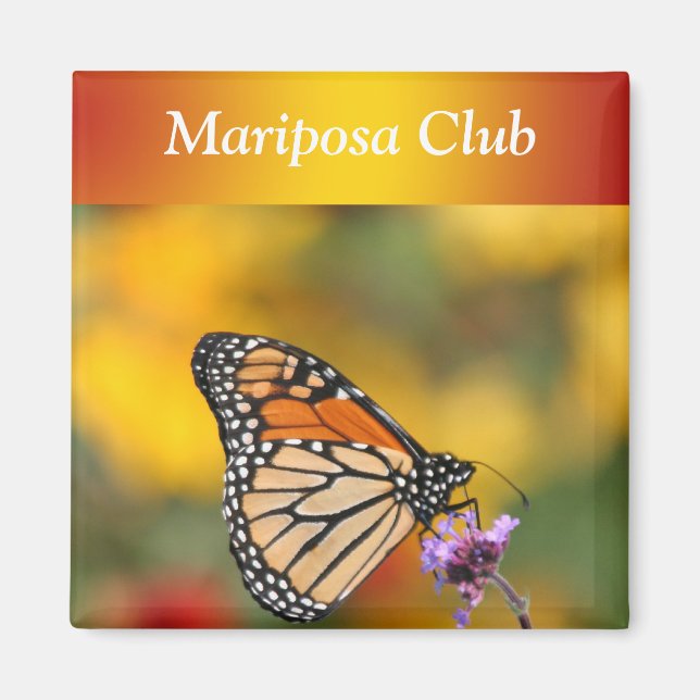 Íman Borboleta Monarca em Busca de pólen (Frente)