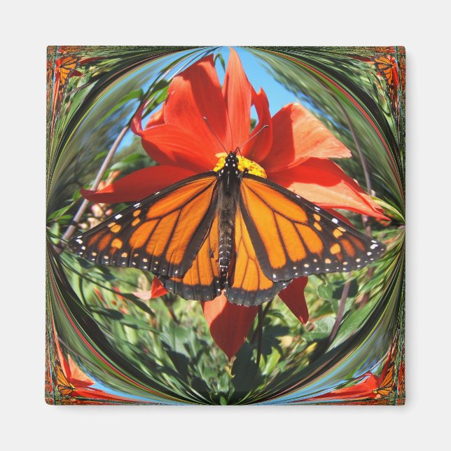 Íman Borboleta monarca ~ imã (Frente)