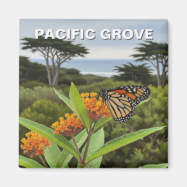Íman Borboleta Monarca Pacific Grove California Viagem (Frente)