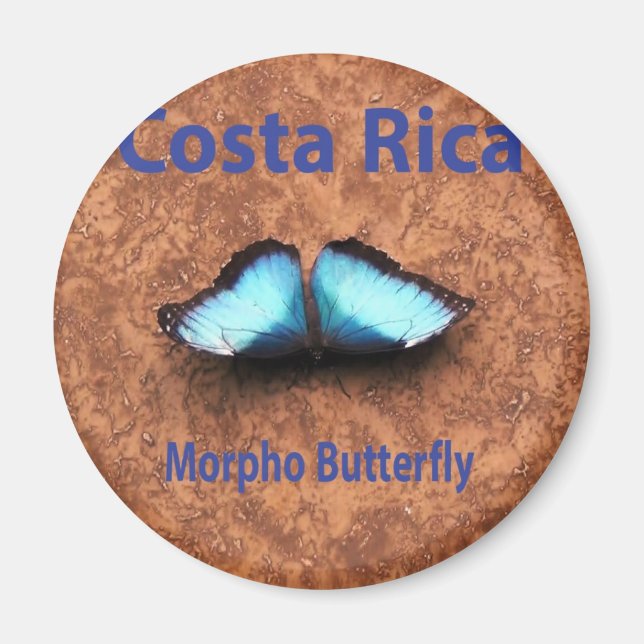 Íman Borboleta Morpho Costa Rica (Frente)