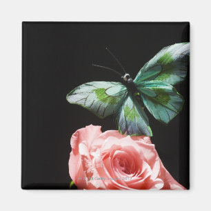 Íman Borboleta na flor