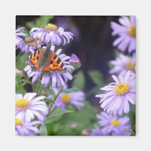 Íman Borboleta Nas Flores