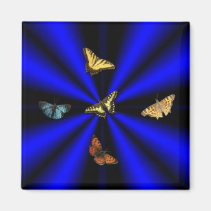 Íman Borboleta no arco-íris preto e azul