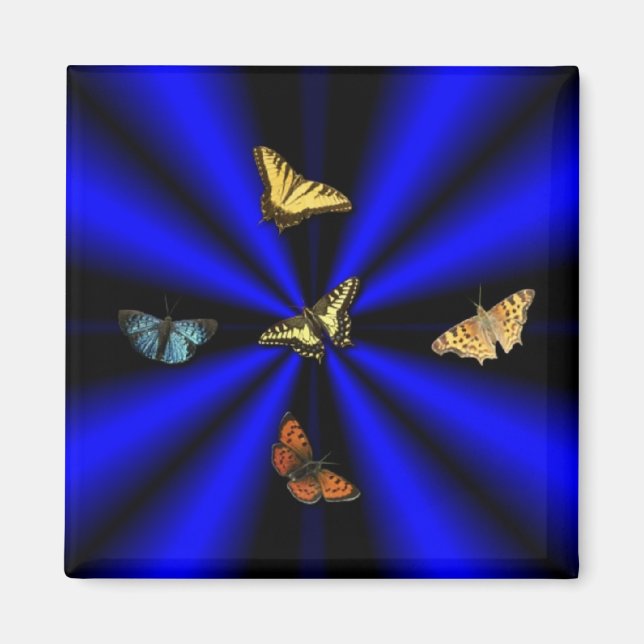Íman Borboleta no arco-íris preto e azul (Frente)