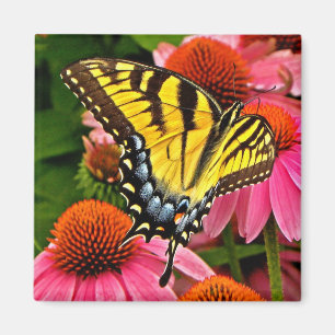 Íman Borboleta no ímã da flor v22