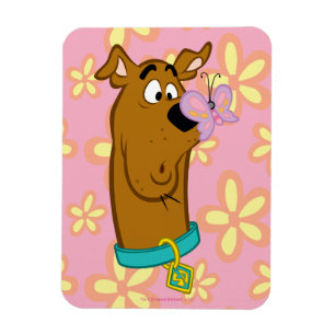 Íman Borboleta no nariz de Scooby-Doo