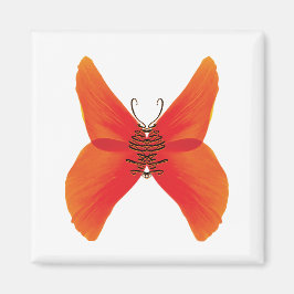 Íman Borboleta Papoula Laranja Vermelho com Seu Nome