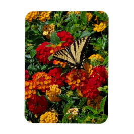 Íman borboleta rabo de andorinha amarela flores laranja