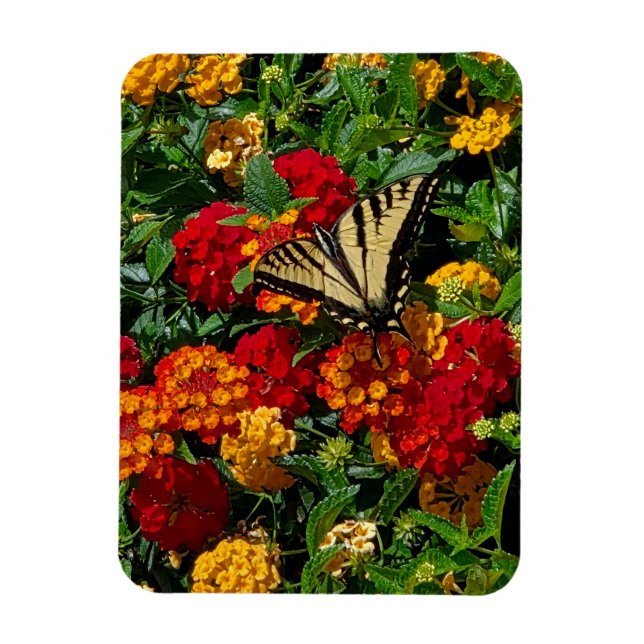 Íman borboleta rabo de andorinha amarela flores laranja (Vertical)