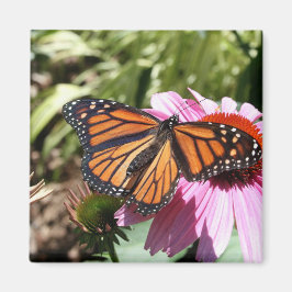 Íman Borboleta sobre flor vermelha