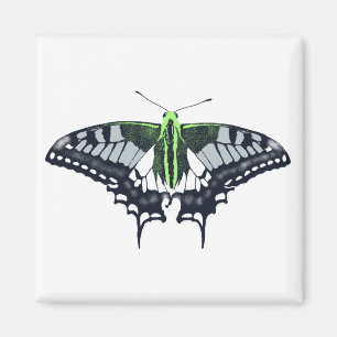 Íman Borboleta Swallowtail de Sinalizador Agender
