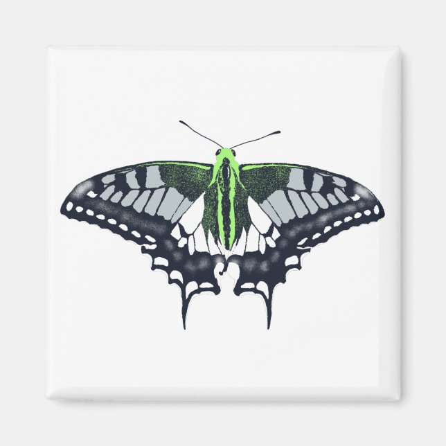 Íman Borboleta Swallowtail de Sinalizador Agender (Frente)
