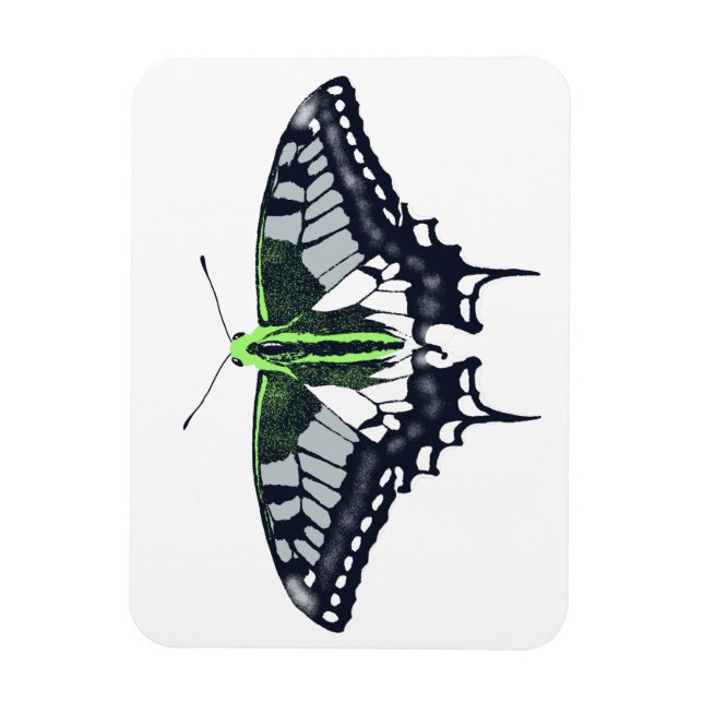 Íman Borboleta Swallowtail de Sinalizador Agender (Vertical)