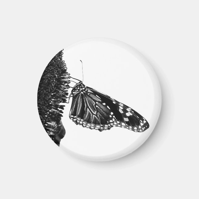 Íman borboleta tímida preta (Frente)