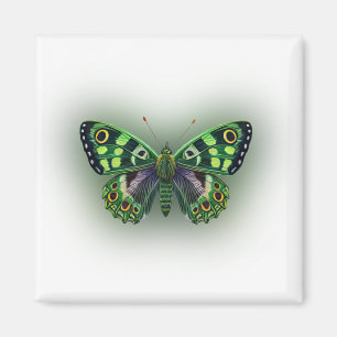 Íman Borboleta Verde