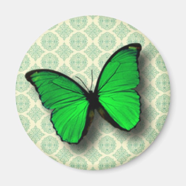 Íman Borboleta Verde no Padrão Vintage (Frente)