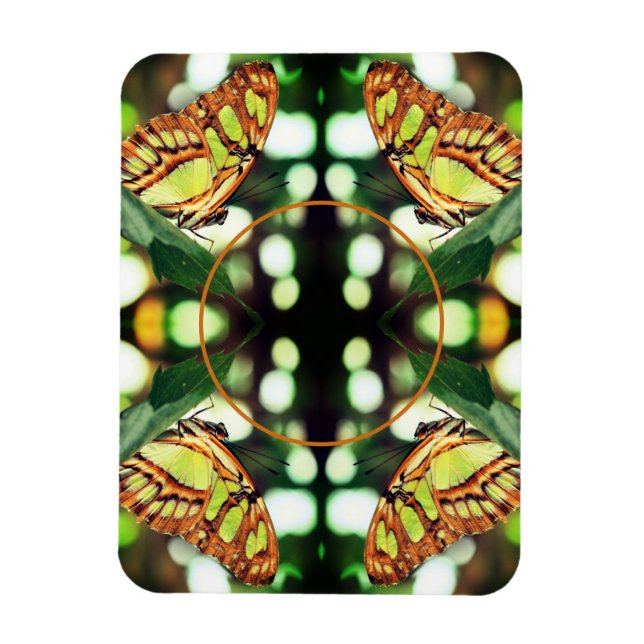 Íman Borboleta Verde Possuindo Quadro Crie Sua Própria  (Vertical)