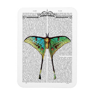 Íman Borboleta vibrante