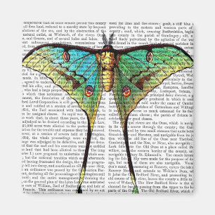 Íman Borboleta vibrante