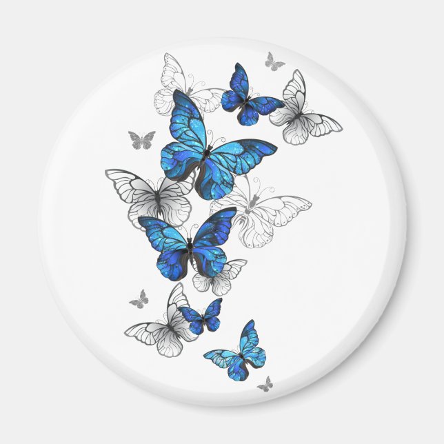 Íman Borboletas Azuis Morpho (Frente)
