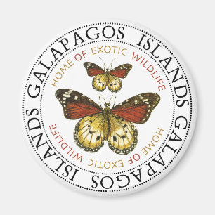 Íman Borboletas das Ilhas Galápagos