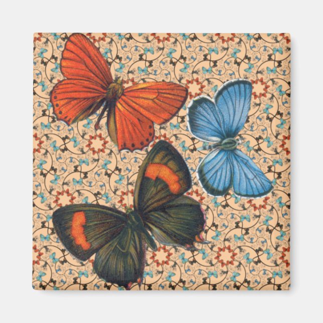 Íman Borboletas De Ramificação Sm Qualquer Magneta De C (Frente)