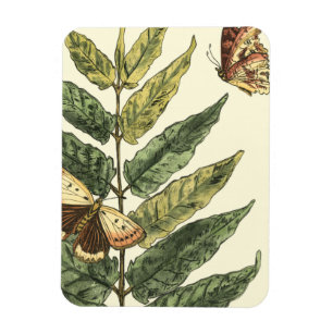 Íman Borboletas e folhas com quadro preto