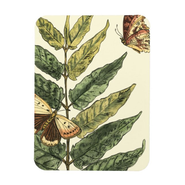 Íman Borboletas e folhas com quadro preto (Vertical)