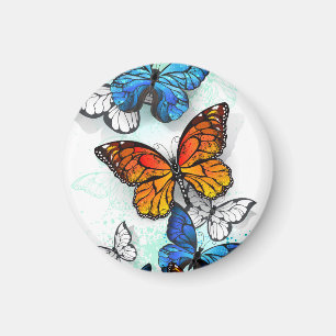 Íman Borboletas Voadoras Morpho e Monarca