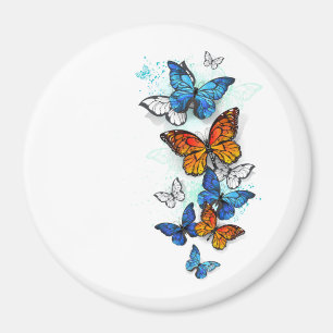 Íman Borboletas voadoras Morpho e Monarca