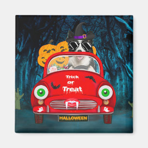 Íman Borda Cão Condutor Carro Assustador Halloween