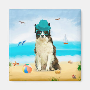 Íman Borda Collie Dog na praia