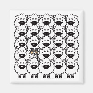 Íman Borda Collie na Ovelha