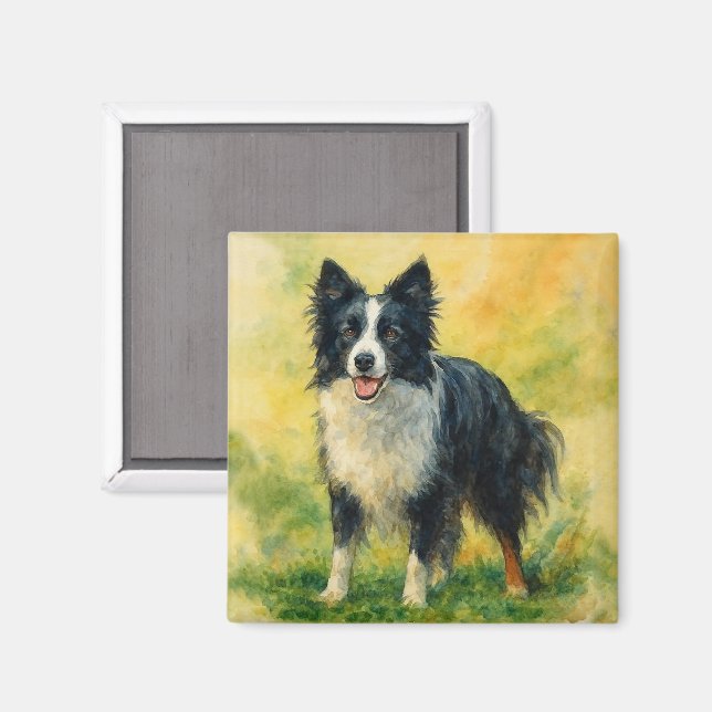 Íman Border Collie (Front/Back)