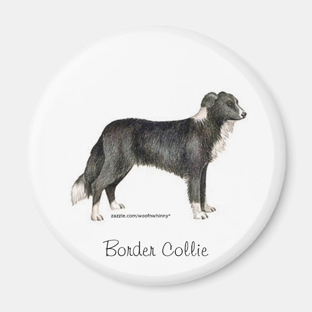 Íman Border Collie (Frente)