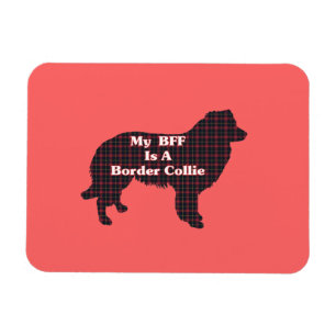 Íman Border Collie BFF