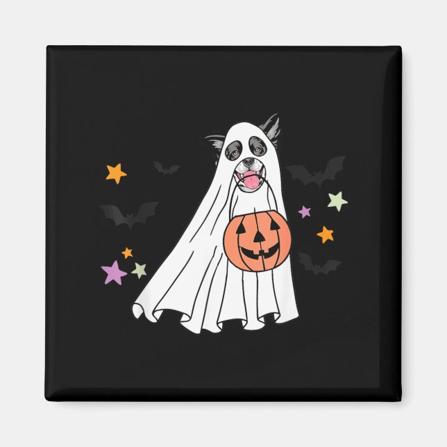 Íman Border Collie Boo Cachorro Preto E Branco No Hallo (Frente)