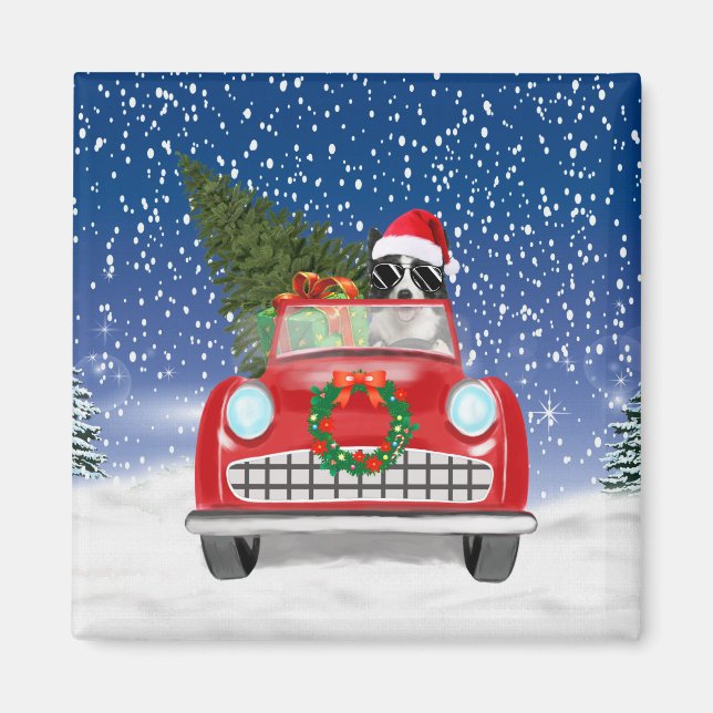 Íman Border Collie  Cão Dirigindo Carro Na Neve Natal  (Frente)