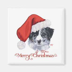 Íman Border Collie Christmas